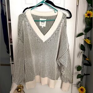 Aerie v neck sweater